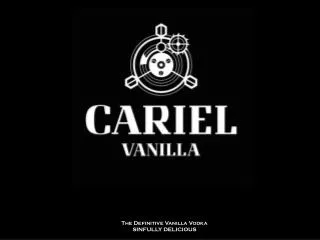 The Definitive Vanilla Vodka SINFULLY DELICIOUS