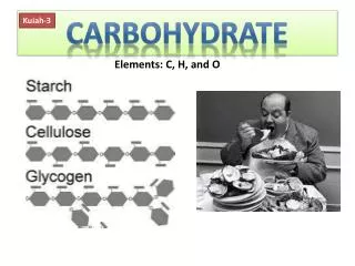 cARBOHYDRATE