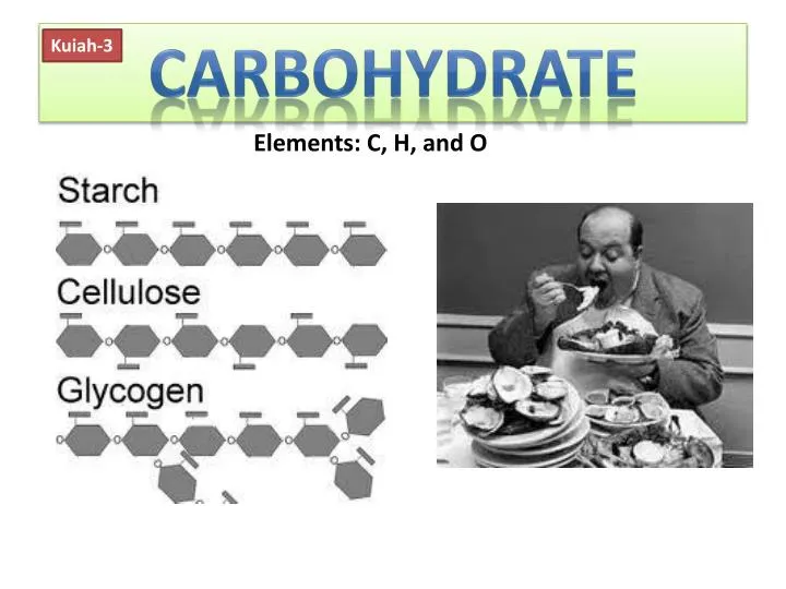 carbohydrate