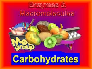 Enzymes &amp; Macromolecules