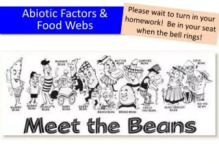 Abiotic Factors &amp; Food Webs
