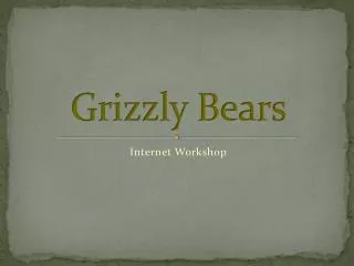 Grizzly Bears