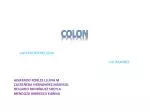 COLON - slide 1