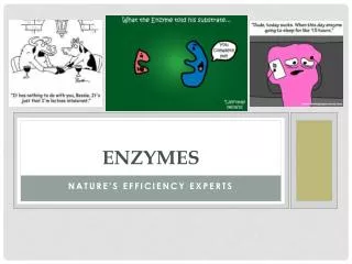 Enzymes