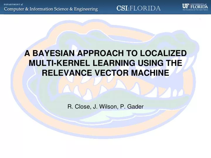 a bayesian approach to localized multi kernel learning using the relevance vector machine