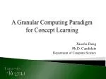 A Granular Computing Paradigm for Concept Learning - slide 1