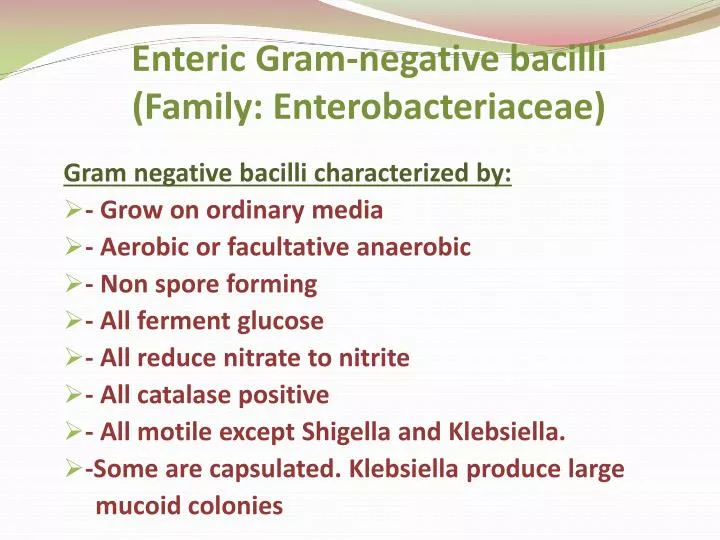 enteric gram negative bacilli family enterobacteriaceae