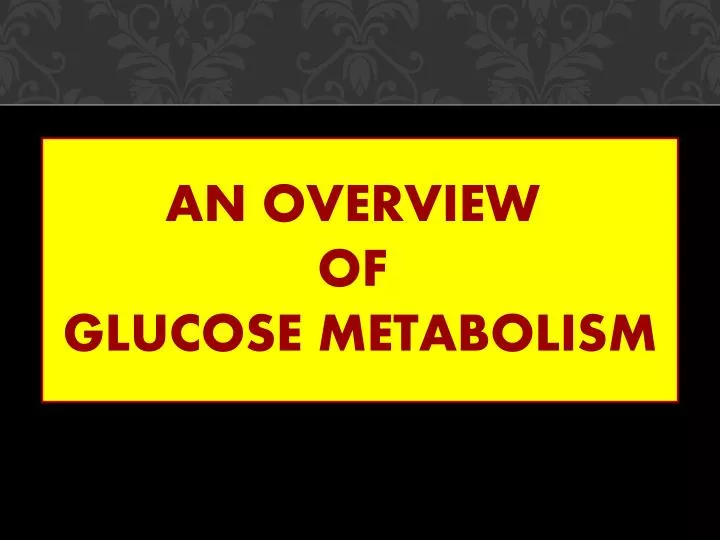 an overview of glucose metabolism