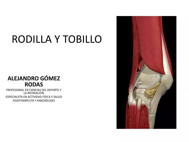 rodilla y tobillo