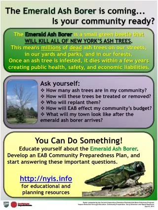 The Emerald Ash Borer is coming... Is your community ready?