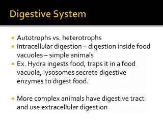 Digestive System