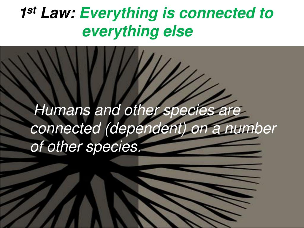 PPT - 1 st Law: Everything is connected to everything else PowerPoint ...