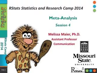 RStats Statistics and Research Camp 2014