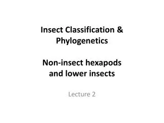Insect Classification &amp; Phylogenetics Non-insect hexapods and lower insects