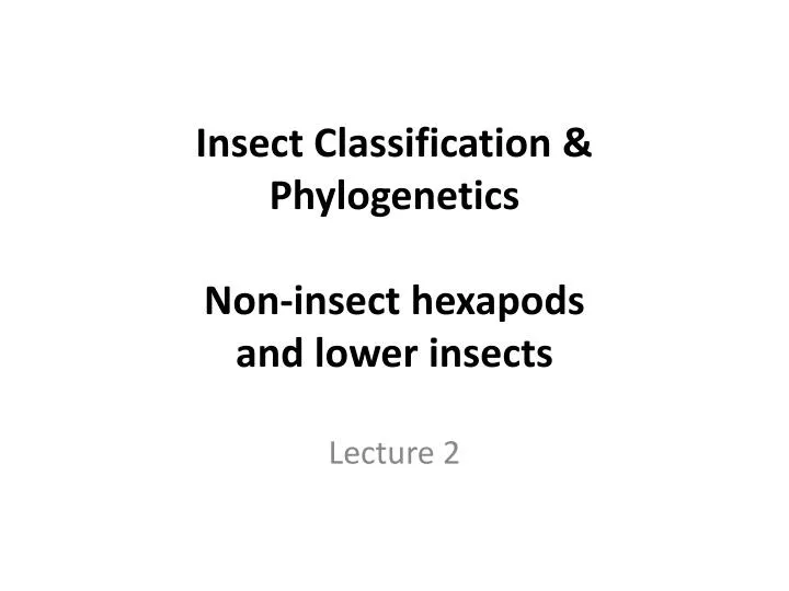insect classification phylogenetics non insect hexapods and lower insects