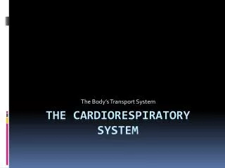 The Cardiorespiratory system