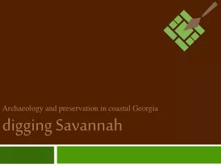 Archaeology and preservation in coastal Georgia