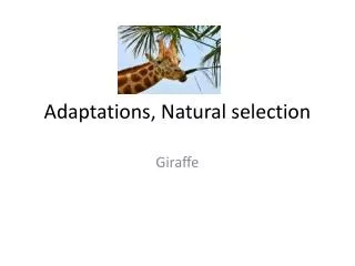 Adaptations, Natural selection