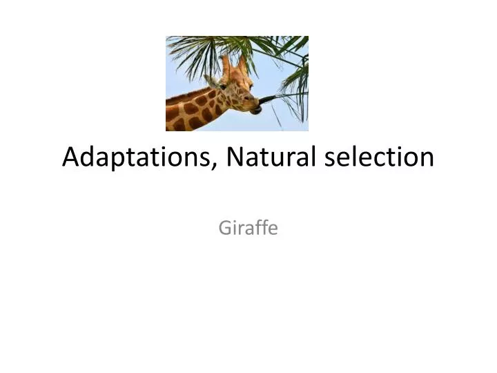 adaptations natural selection