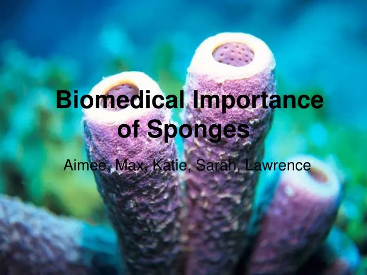 biomedical importance of sponges
