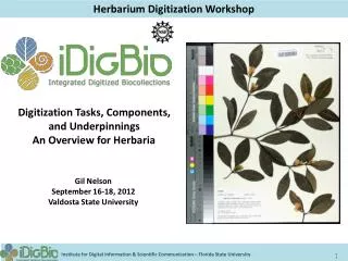 Herbarium Digitization Workshop