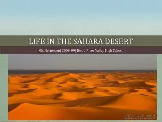 life in the sahara desert