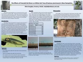 The Effects of Emerald Ash Borer on White Ash Trees ( Fraxinus americana ) in New Hampshire.