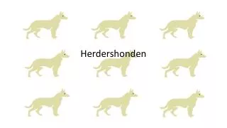 herdershonden