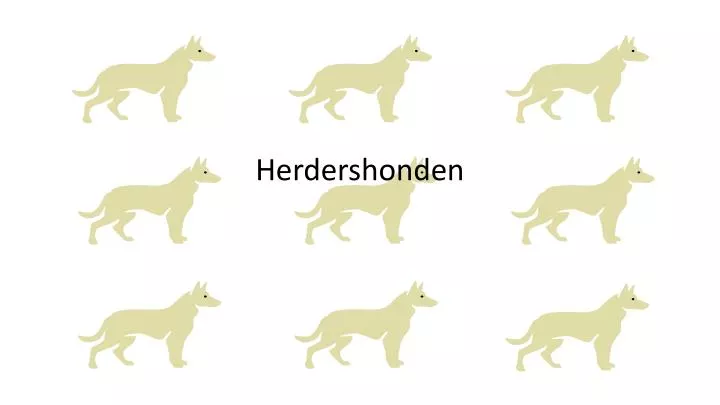 herdershonden