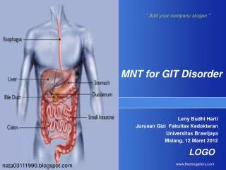 MNT for GIT Disorder