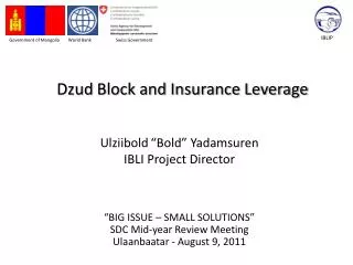 Dzud Block and Insurance Leverage