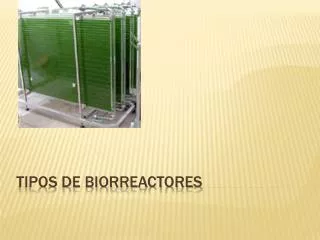tipos de biorreactores