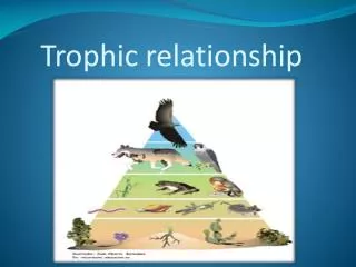 Trophic relationship
