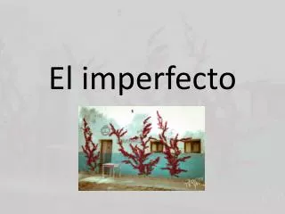 el imperfecto