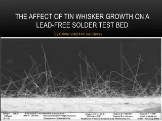 The Affect of tin whisker growth on a lead-free solder test bed