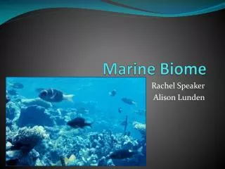 Marine Biome