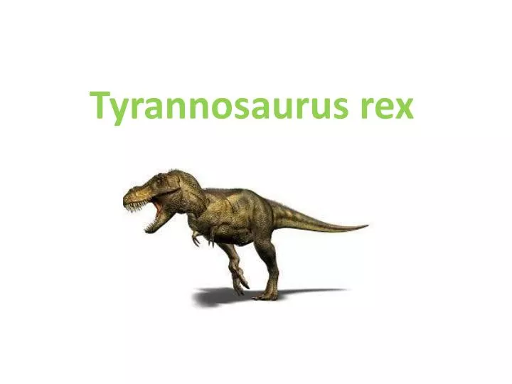 tyrannosaurus rex