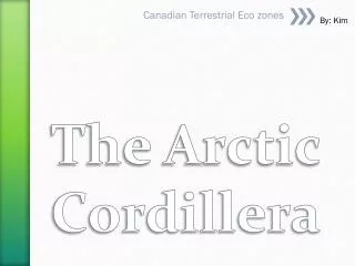 The Arctic Cordillera