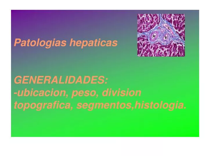 patologias hepaticas generalidades ubicacion peso division topografica segmentos histologia