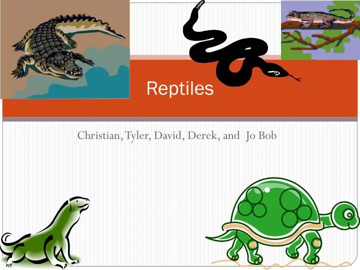 reptiles