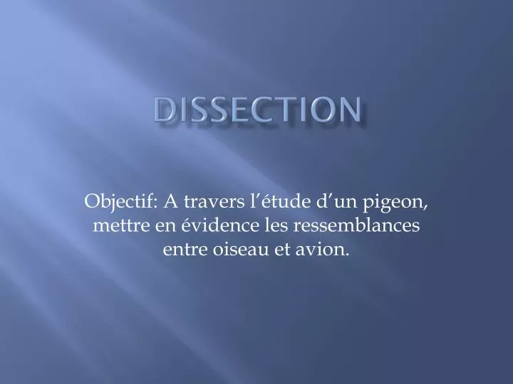 dissection