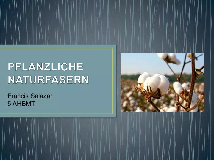 pflanzliche naturfasern