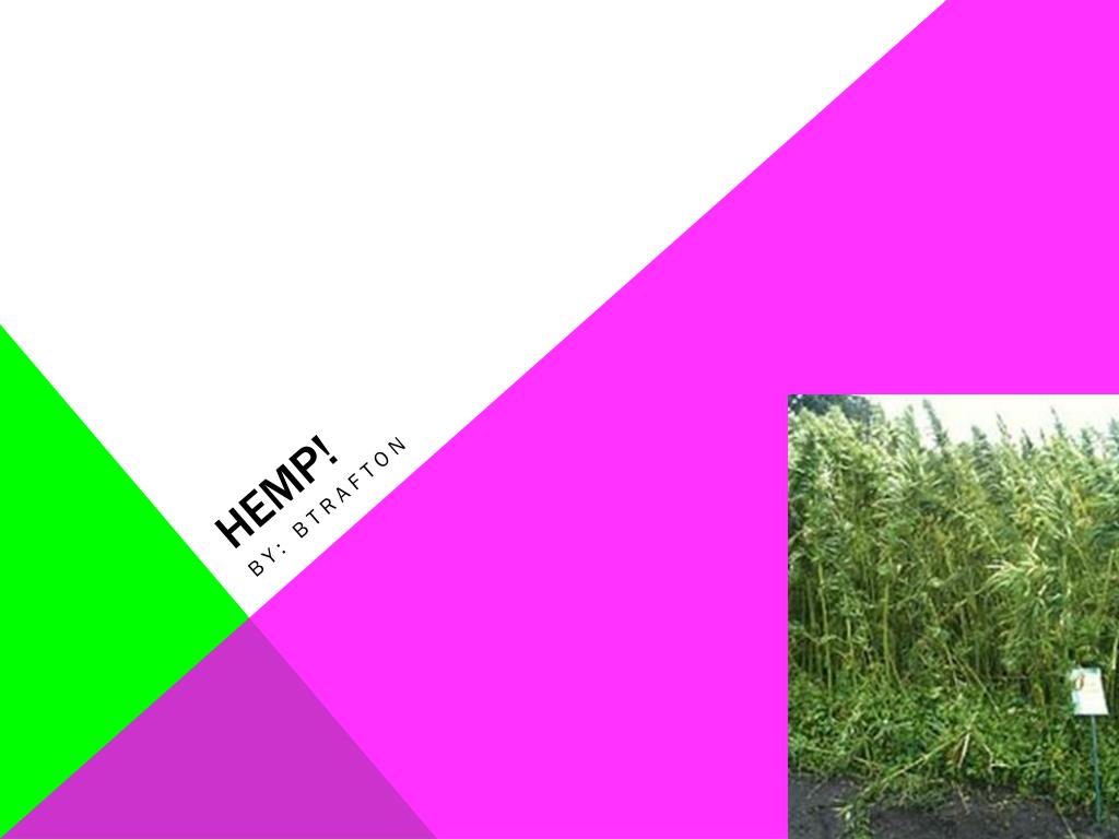 PPT - Hemp! PowerPoint Presentation, free download - ID:2121530