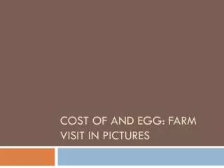 Cost of and Egg: Farm Visit in Pictures