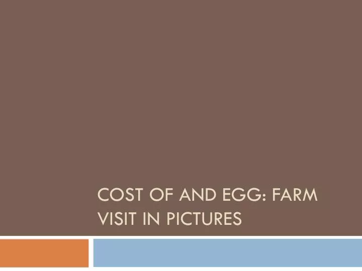 cost of and egg farm visit in pictures