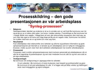 Prosesskildring – den gode presentasjonen av vår arbeidsplass ”Synleg-prosessen”