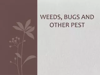 Weeds, Bugs and other Pest