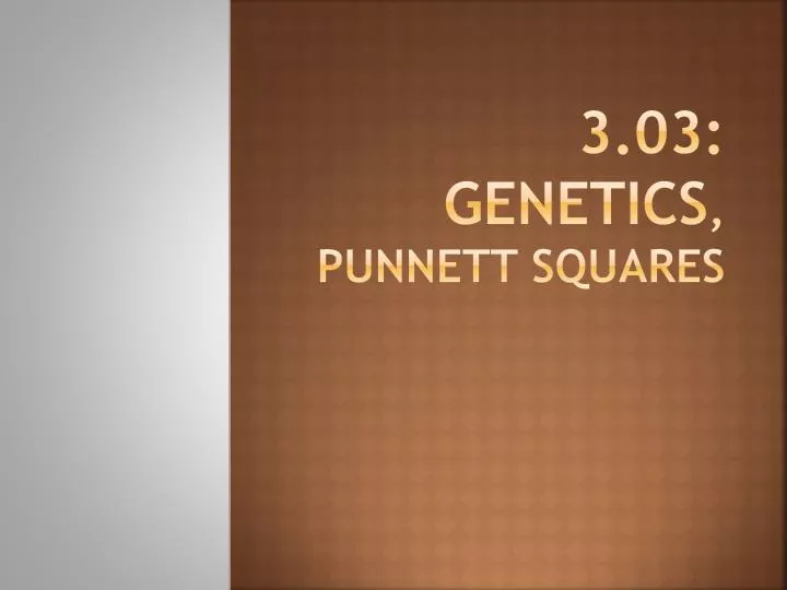 3 03 genetics punnett squares