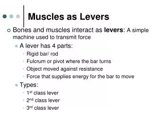 Muscles as Levers