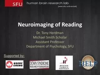 Neuroimaging of Reading